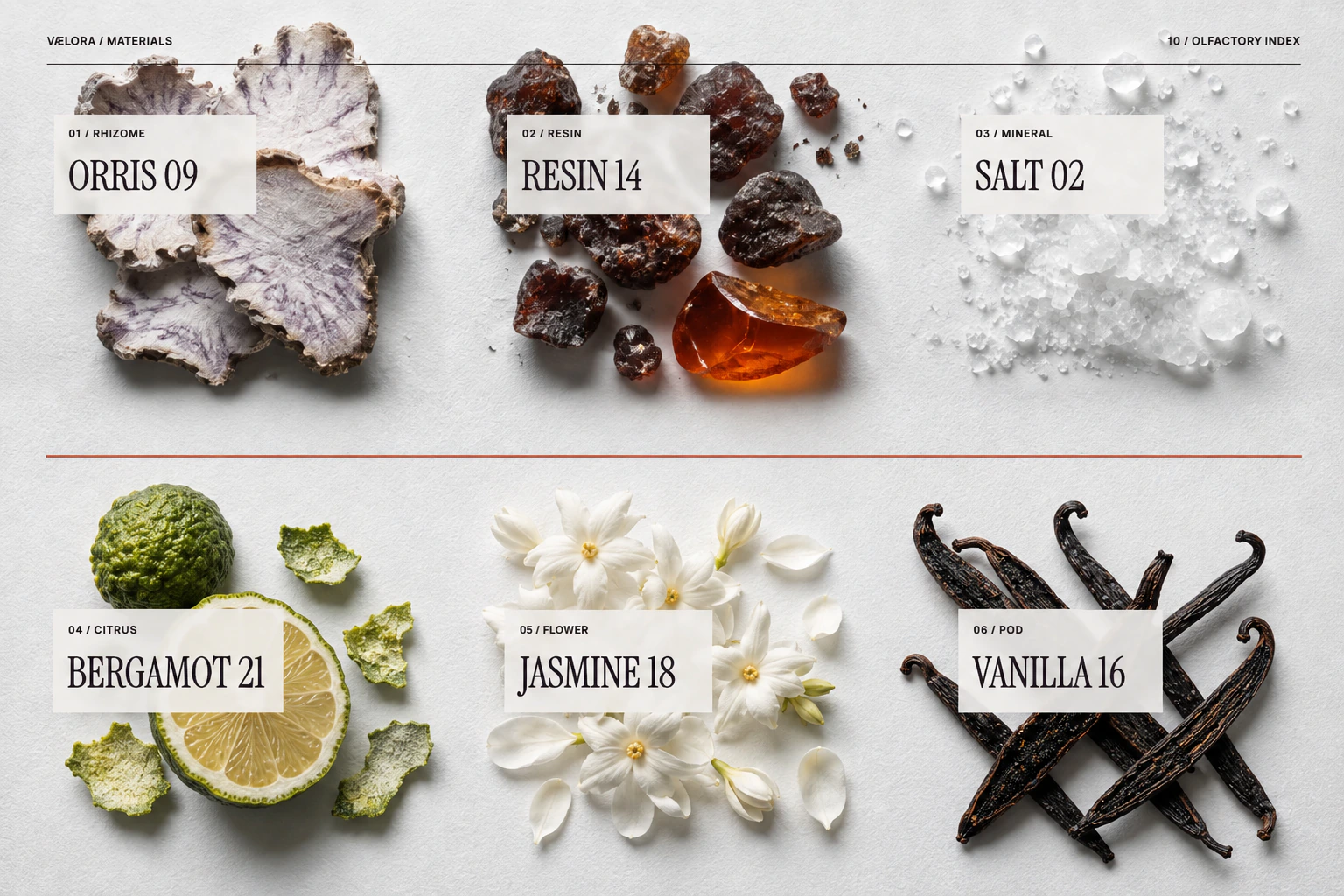 VÆLORA ingredient index: markers and organisation of the olfactory collection.